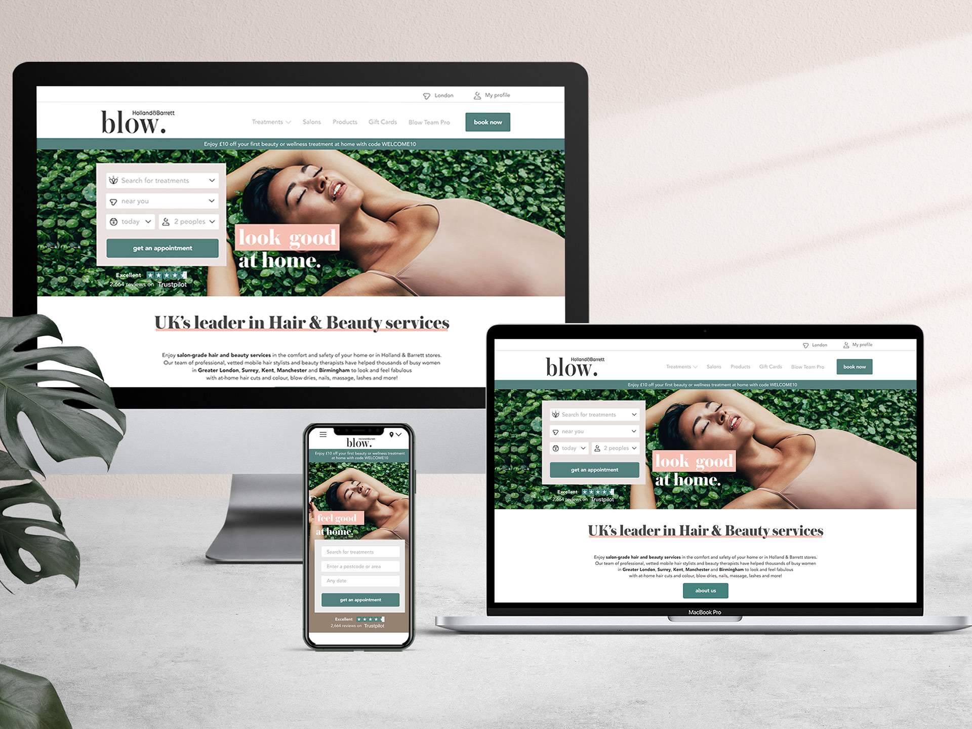 sabine-kley-art-director-blowltd-hollandbarrett-ux-design-responsive