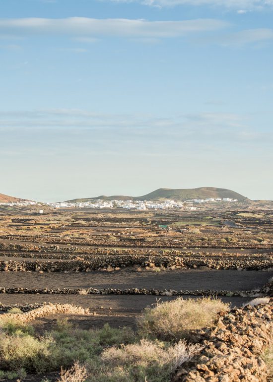 sabine-kley-photography-travel-lanzarote-chemin